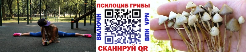 Псилоцибиновые грибы ЛСД  Купить где  Десногорск 